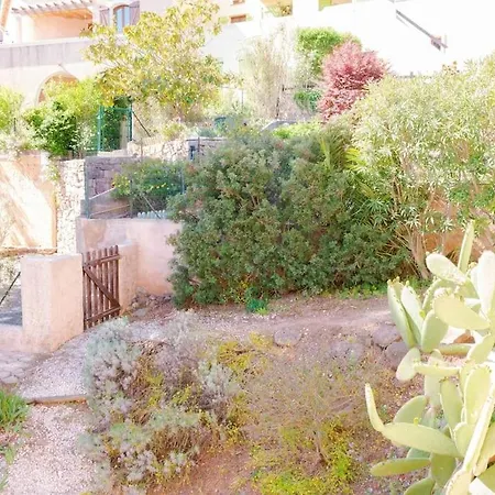 Maison Familiale Sous Les Palmiers De Vila