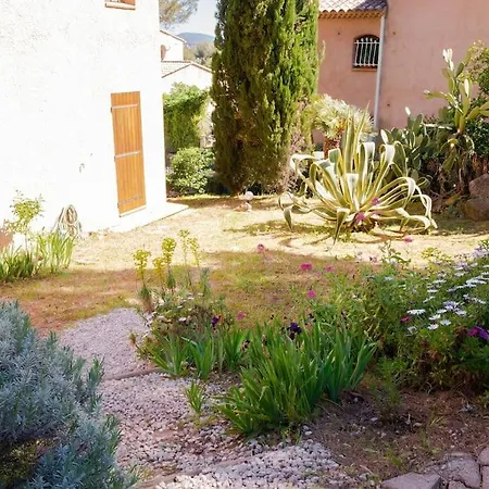 Maison Familiale Sous Les Palmiers De Hyères